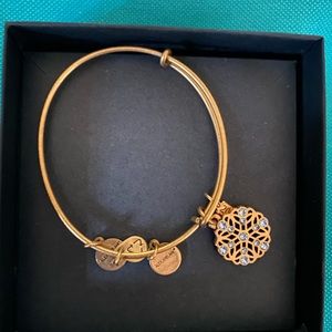 Alex and ani bracelet